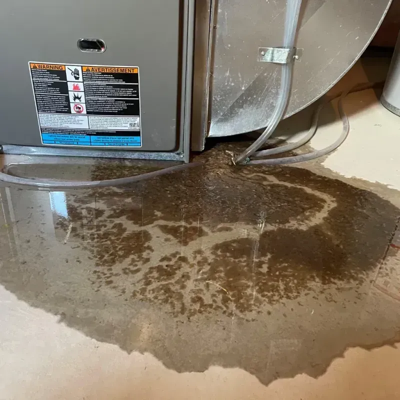 Appliance Leak Cleanup in Yarrow Point, WA